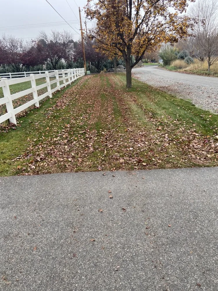 Reliable landscape design in Pasco, WA by Four Seasons Yard Care
