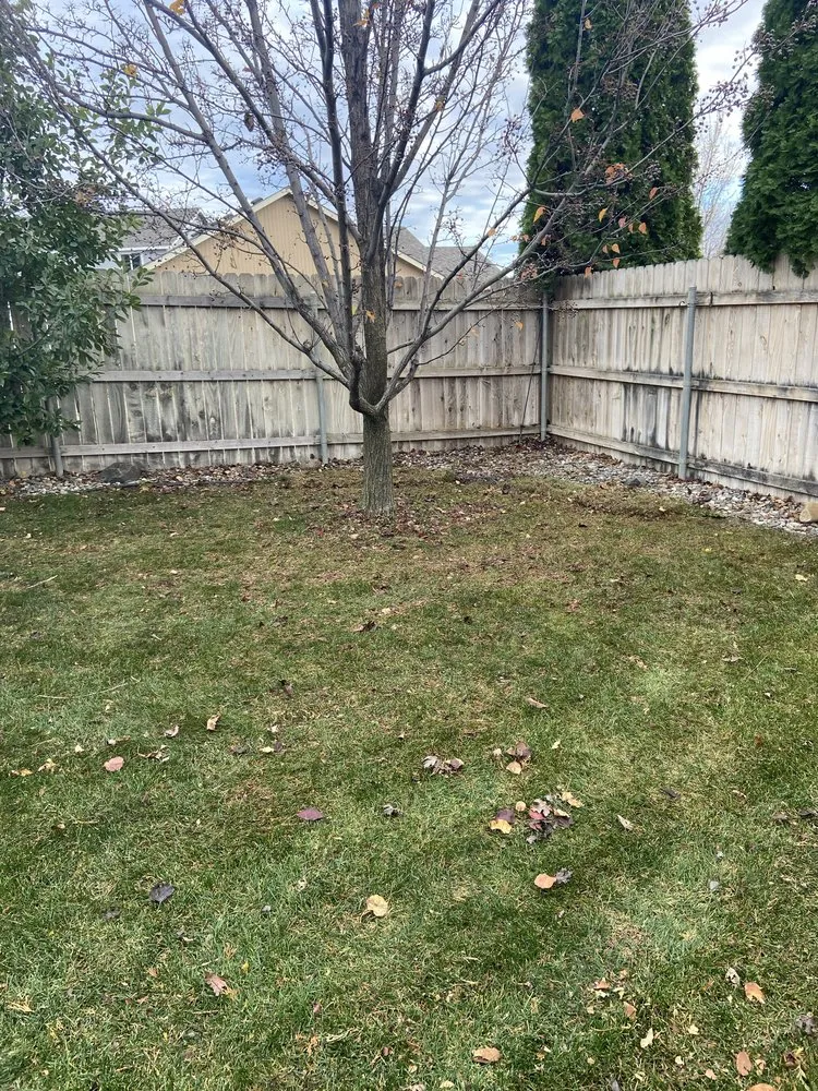 Professional lawn mowing service for beautiful yards in Pasco, WA by Four Seasons Yard Care