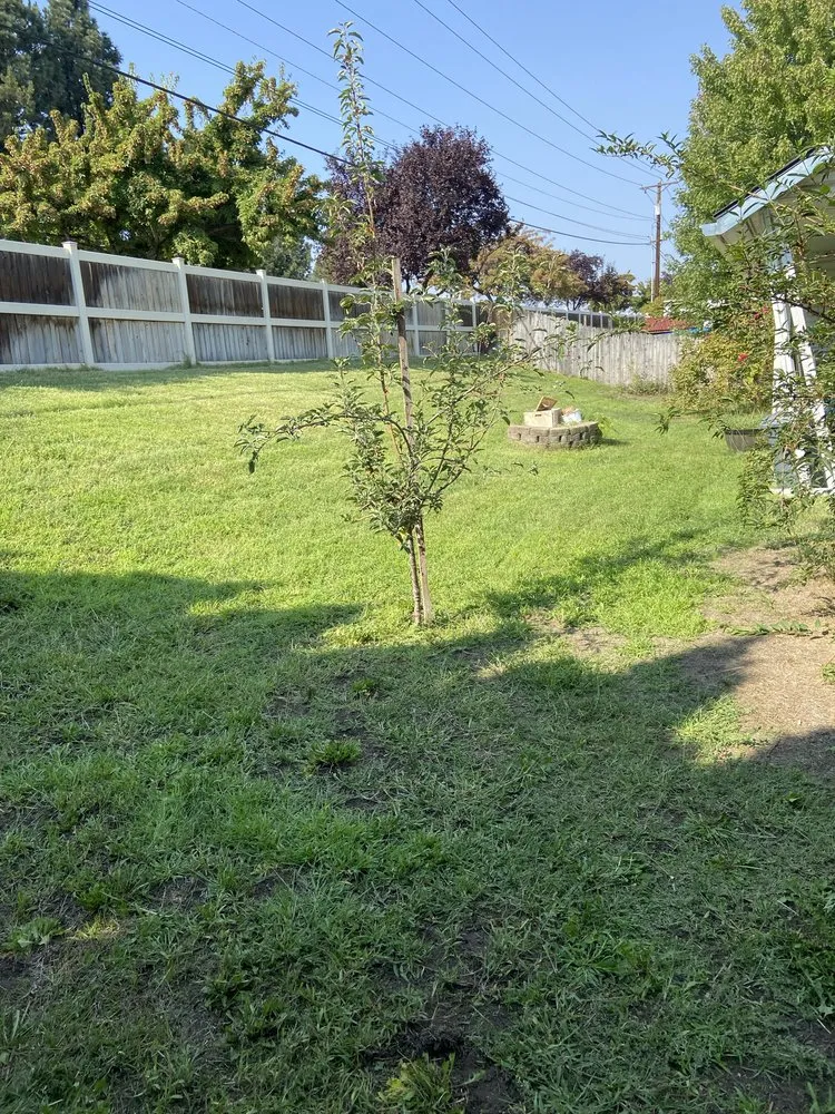 Custom residential landscaping for beautiful yards across Pasco, WA - Four Seasons Yard Care