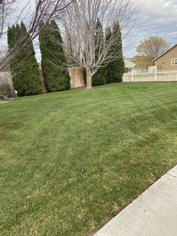Professional yard cleanup service for outdoor upgrades in Pasco, WA by Four Seasons Yard Care
