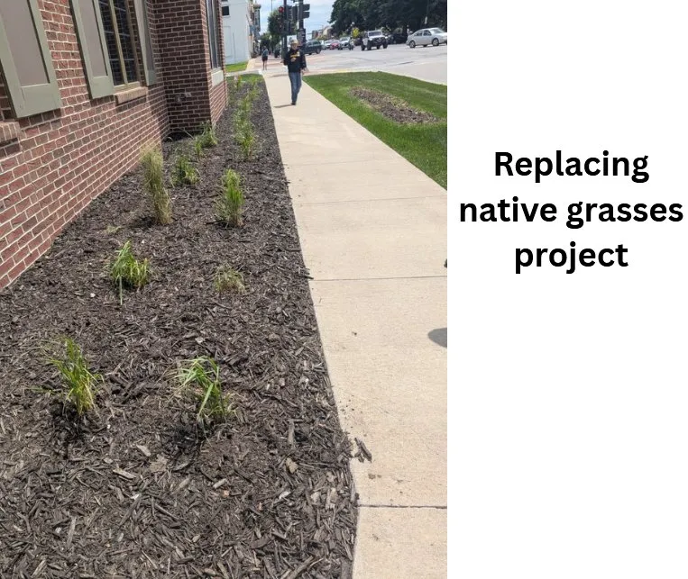 Expert lawn care service near you in Pella, IA by Four Seasons Yard Care