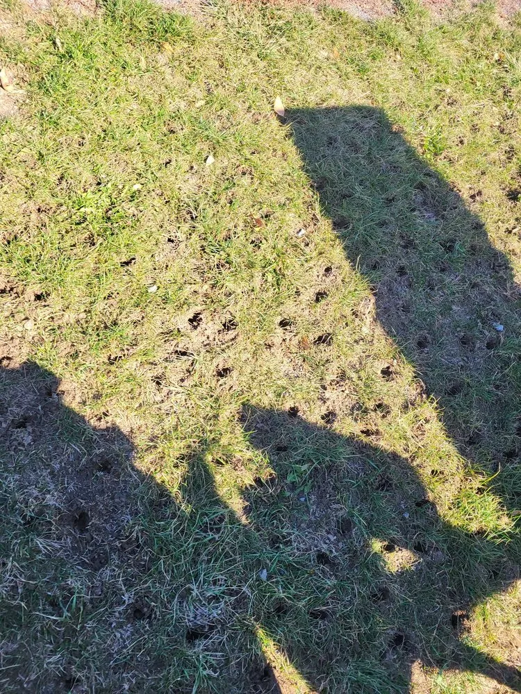 Trusted garden landscaping near you across Pella, IA - Four Seasons Yard Care