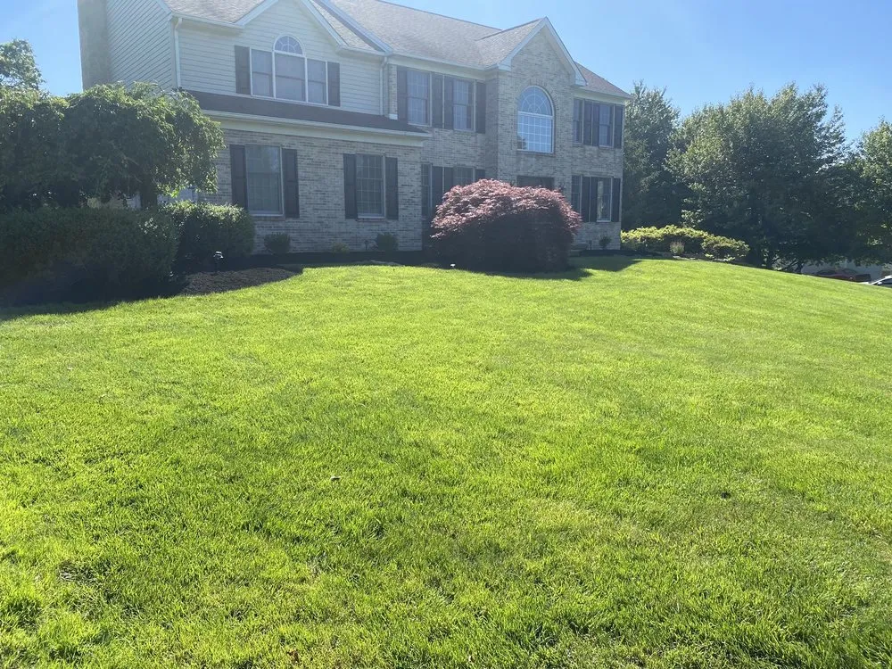 Professional landscape design with custom design in Philadelphia, PA by Four Stones Landscaping