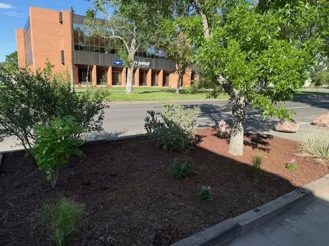 Local yard maintenance for outdoor upgrades in Pueblo, CO by Four Valleys Landscaping