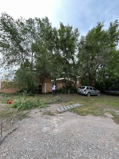 Custom landscape installation for residential properties in Pueblo, CO by Four Valleys Landscaping