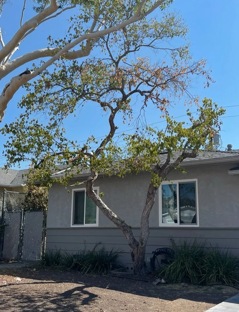 Local residential landscaping for residential properties across Oxnard, CA - Fourest Tree Service