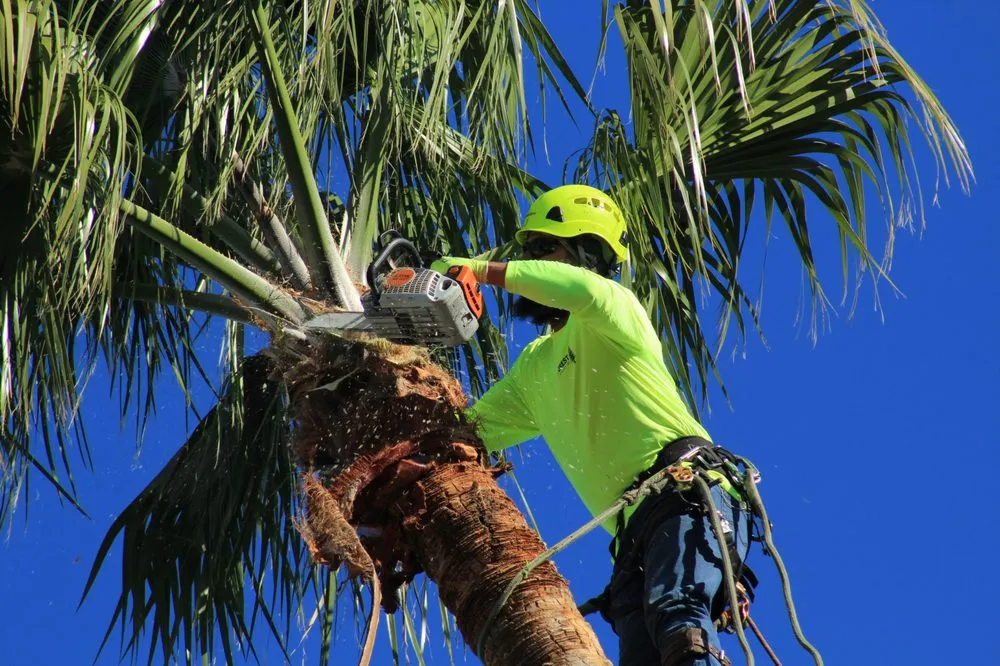 Top-rated garden landscaping near you across Oxnard, CA - Fourest Tree Service