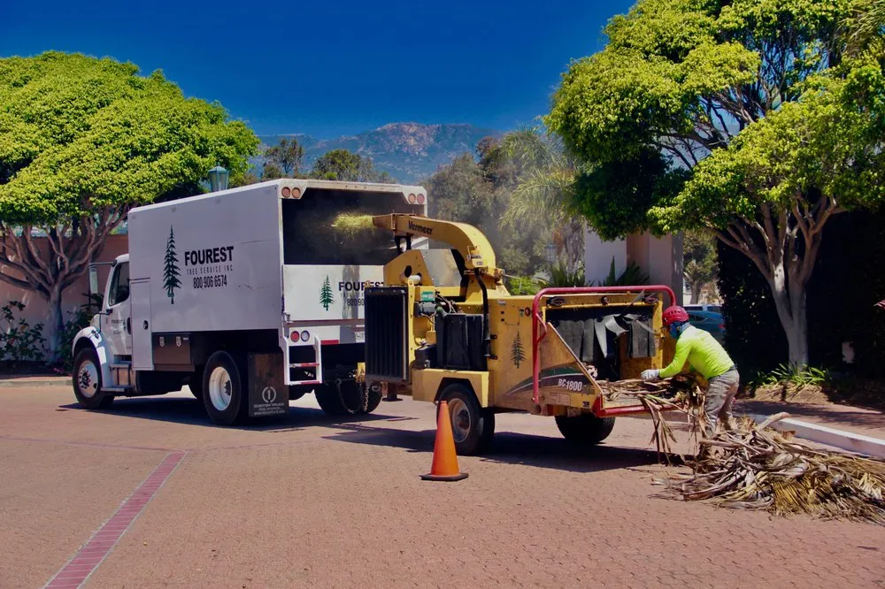 Reliable residential landscaping in Oxnard, CA by Fourest Tree Service