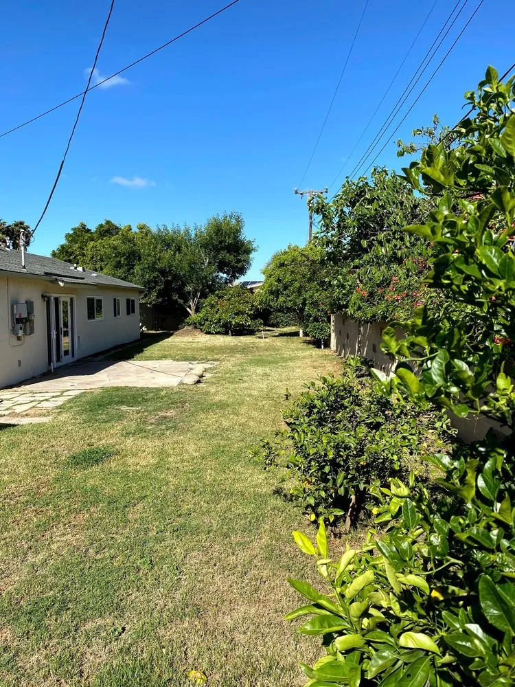 Top-rated yard maintenance experts serving Oxnard, CA - Fourest Tree Service