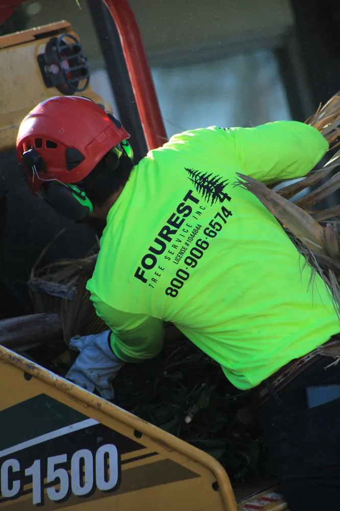 Reliable landscape installation for homes across Oxnard, CA - Fourest Tree Service