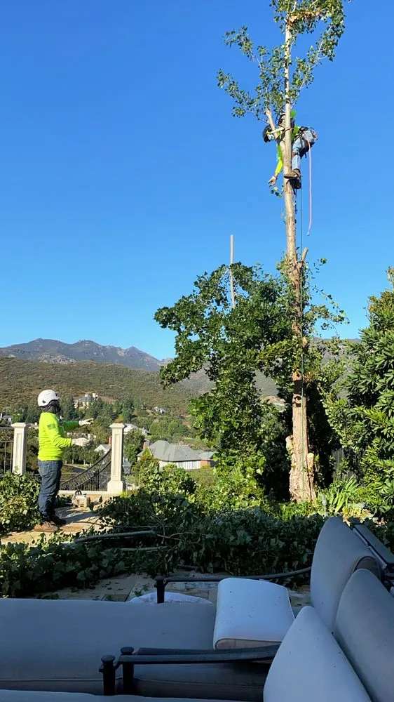 Reliable residential landscaping experts serving Oxnard, CA - Fourest Tree Service