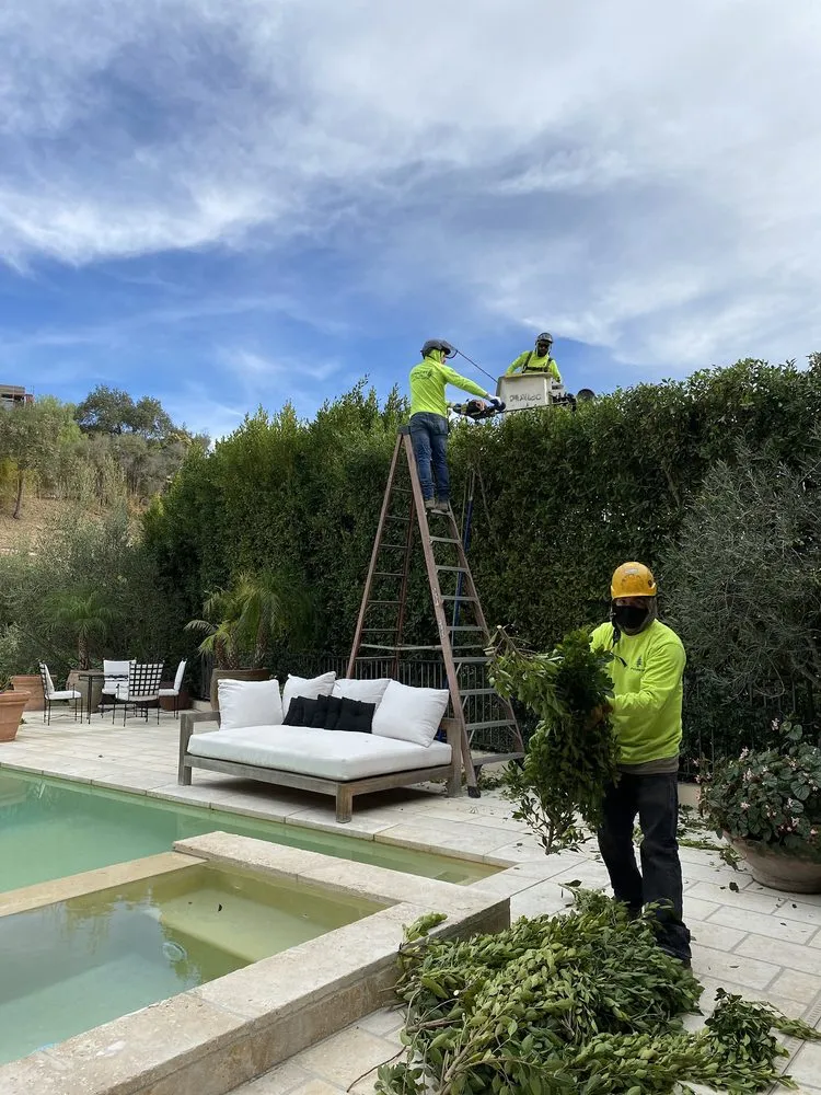 Local lawn care service for residential properties across Oxnard, CA - Fourest Tree Service