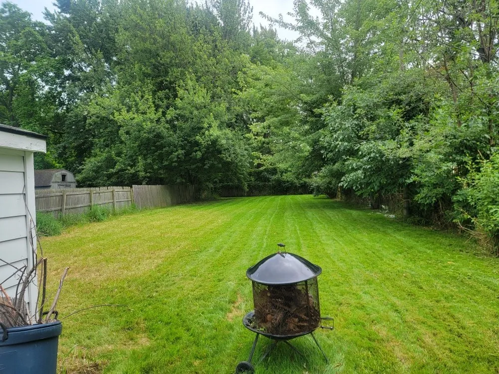 Affordable landscaping services experts serving Harper Woods, MI - Fournier Lawn & Snow