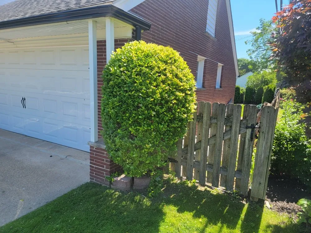 Top-rated landscaping services experts serving Harper Woods, MI - Fournier Lawn & Snow