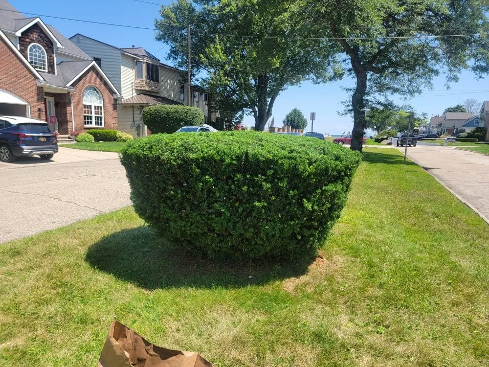 Local residential landscaping in Harper Woods, MI - Fournier Lawn & Snow