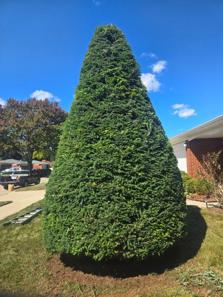 Affordable lawn care service in Harper Woods, MI - Fournier Lawn & Snow