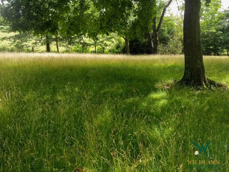 Professional landscape installation near you across East Liberty, PA - Fourth River Workers Guild