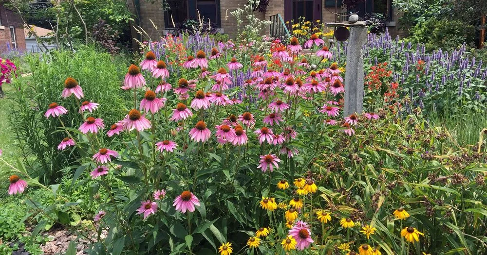 Expert landscaping services for residential properties across East Liberty, PA - Fourth River Workers Guild