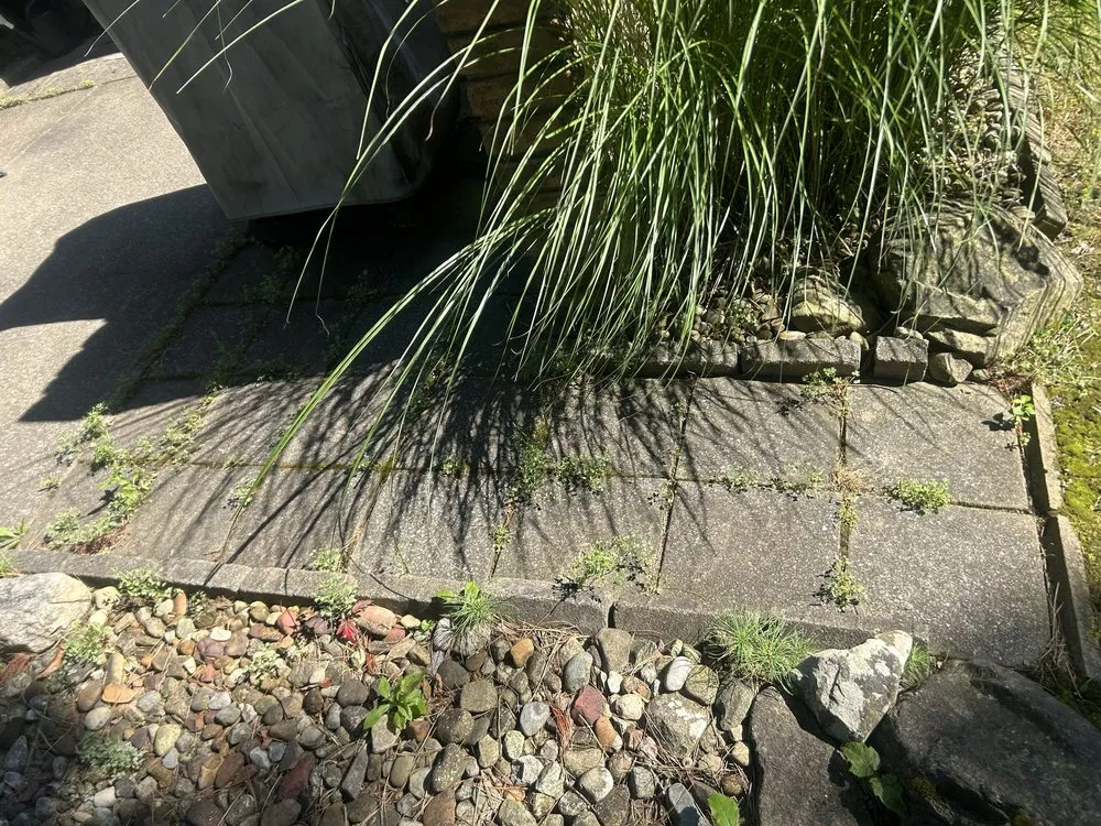 Trusted landscape design experts serving Akron, OH - Fout’s Yard Clean up