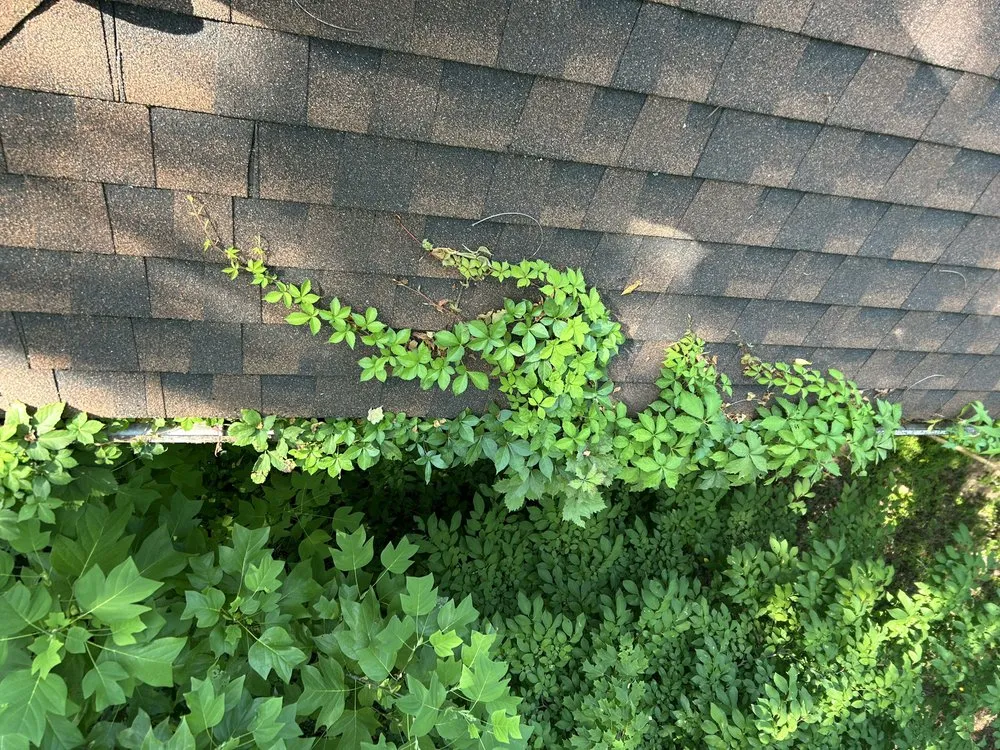 Local lawn care service in Akron, OH - Fout’s Yard Clean up