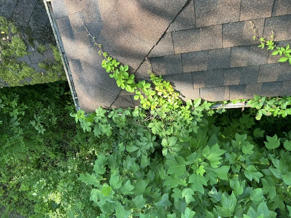 Expert garden landscaping in Akron, OH by Fout’s Yard Clean up