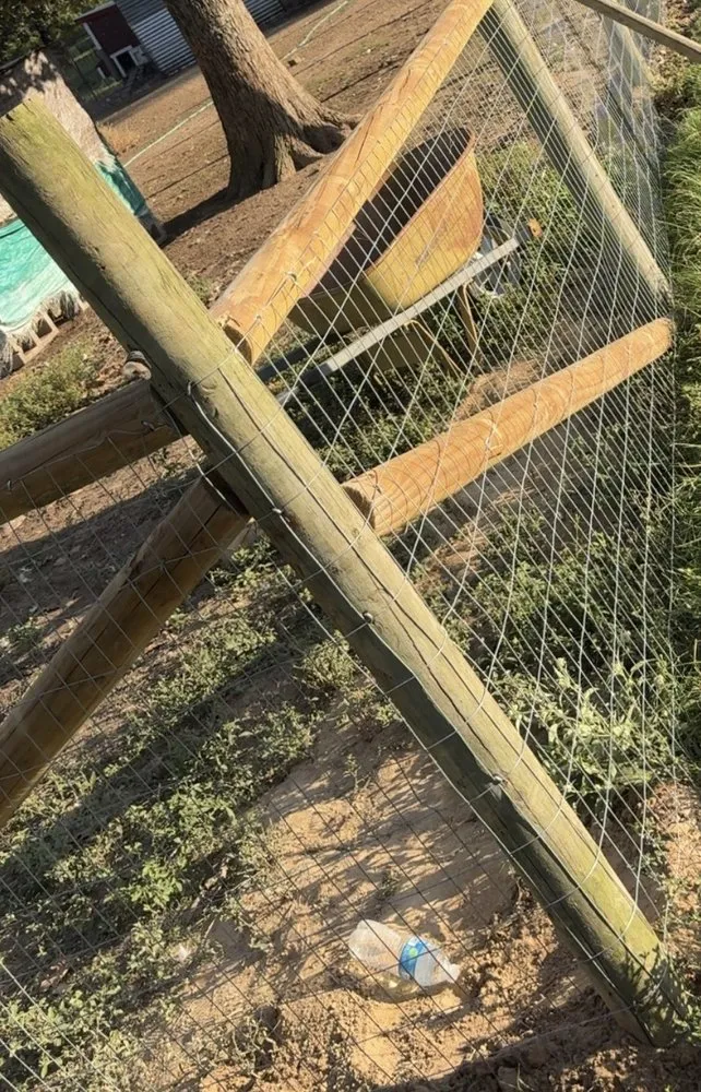 Professional yard maintenance in Fruitvale, TX - Fowler Fencing and Landscaping