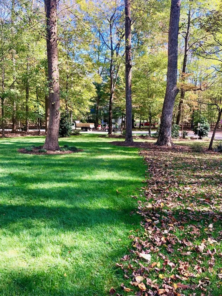 Professional landscaping services experts serving Hillsborough, NC - Fowler Landscaping