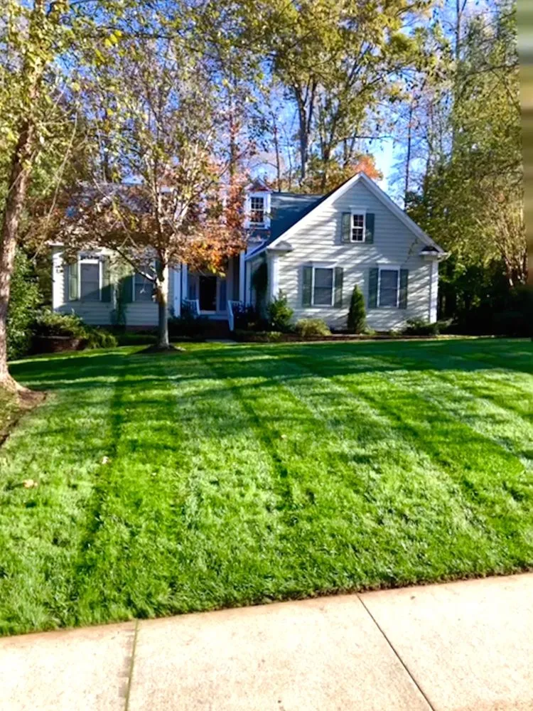 Local landscaping services for year-round maintenance in Hillsborough, NC by Fowler Landscaping