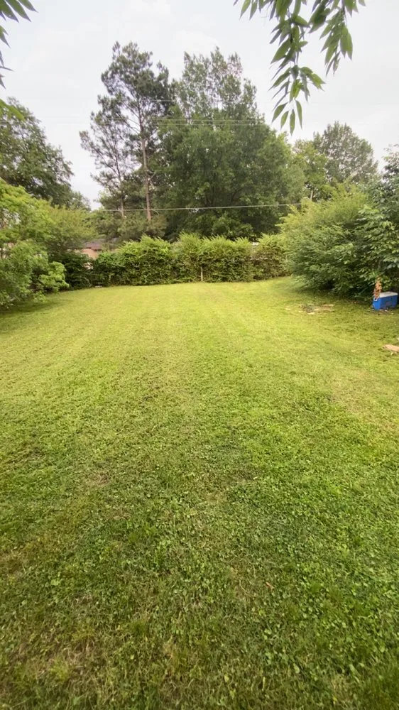 Trusted landscape installation in DeWitt, AR - Fowler Lawn Maintenance