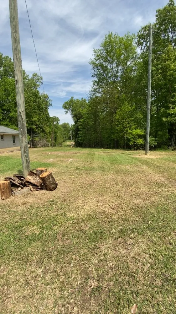 Expert yard maintenance experts serving DeWitt, AR - Fowler Lawn Maintenance