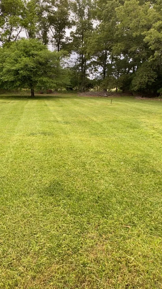 Affordable garden landscaping for residential properties across DeWitt, AR - Fowler Lawn Maintenance
