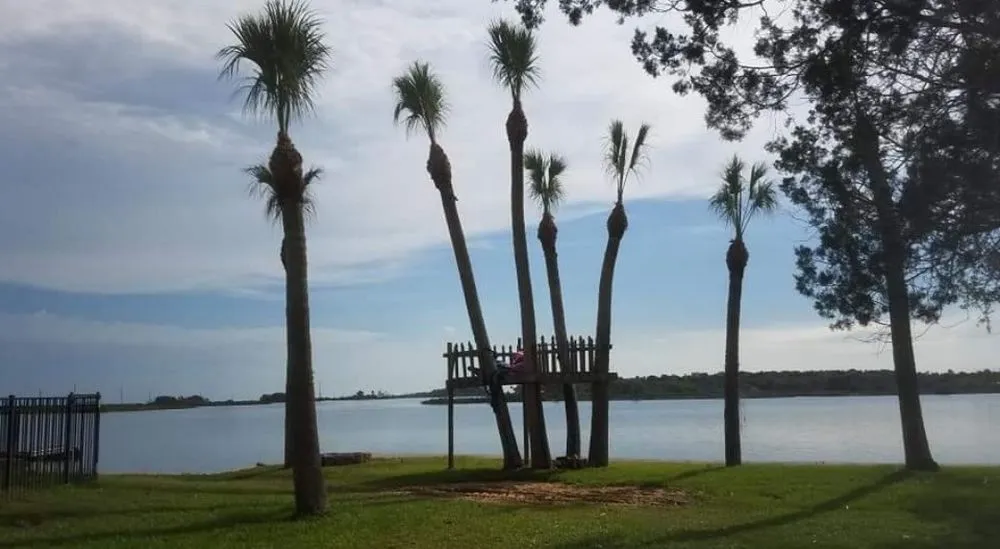 Professional landscape design for outdoor upgrades across Homosassa Springs, FL - Fowler Lawns