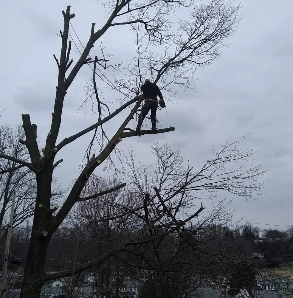 Local landscape installation for residential properties across Pottsville, PA - Fowlers Tree And Landscaping