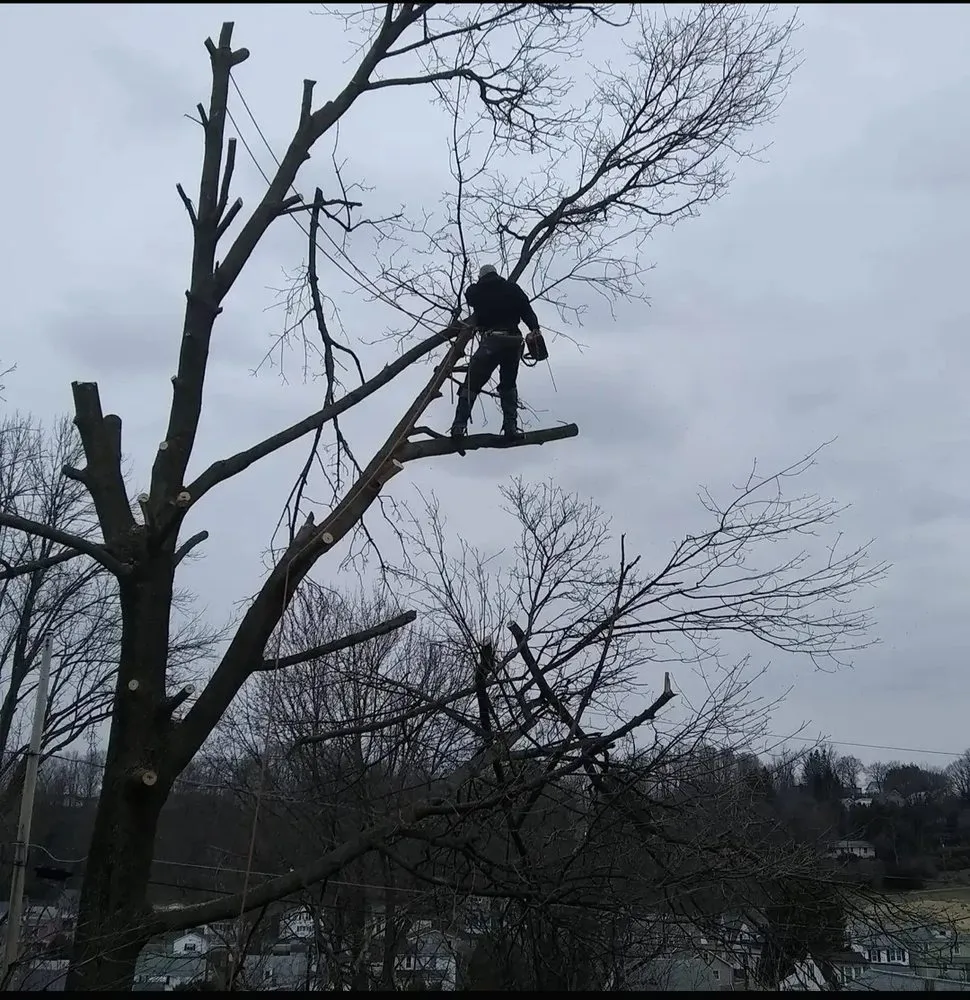 Custom garden landscaping in Pottsville, PA - Fowlers Tree And Landscaping