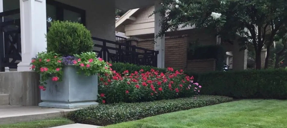 Expert yard cleanup service for outdoor upgrades across Fort Worth, TX - Fowlkes Norman & Associates