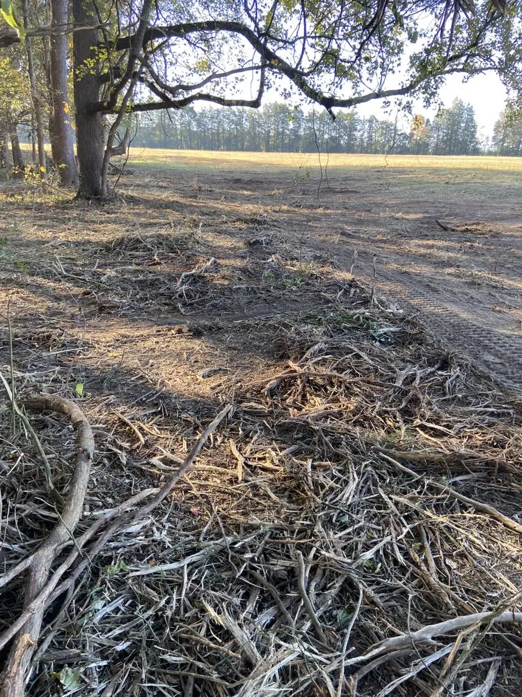 Local landscaping services in York, SC - Fox Brush Control