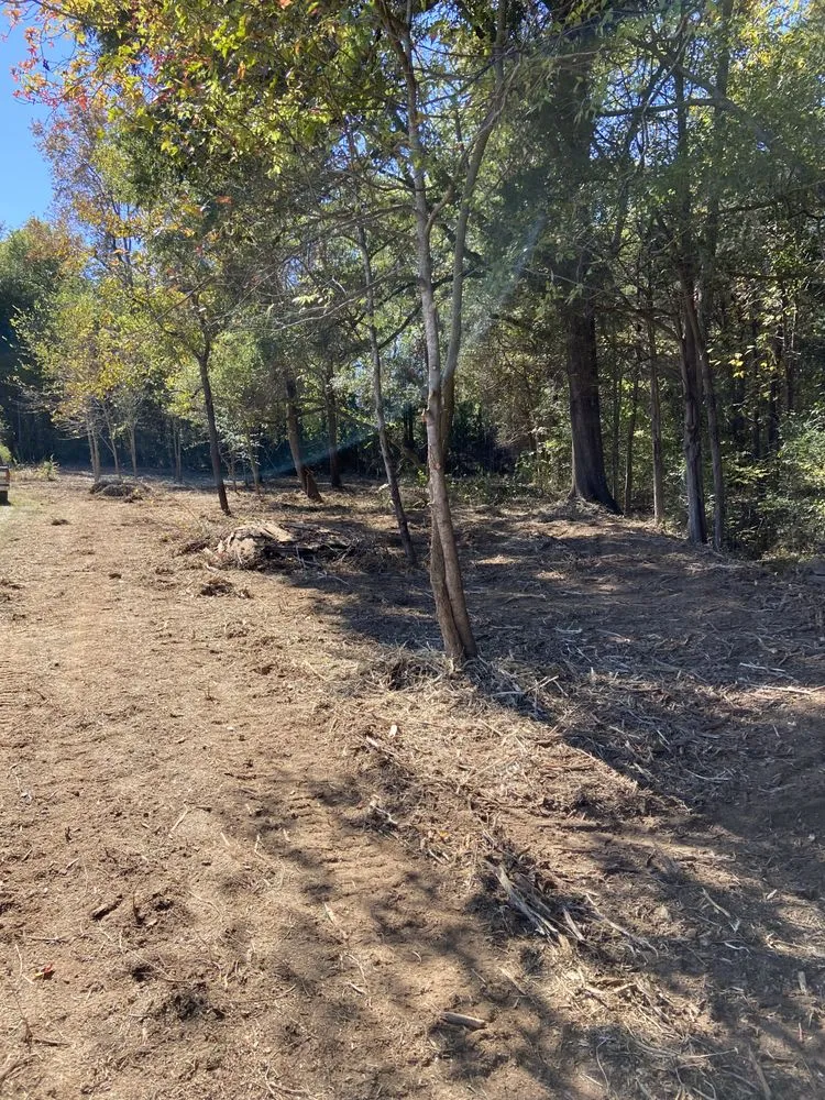 Reliable yard maintenance experts serving York, SC - Fox Brush Control