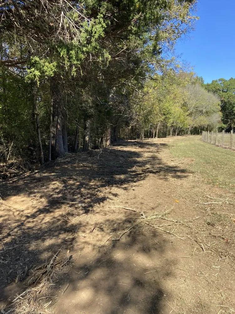 Custom outdoor landscaping for year-round maintenance across York, SC - Fox Brush Control