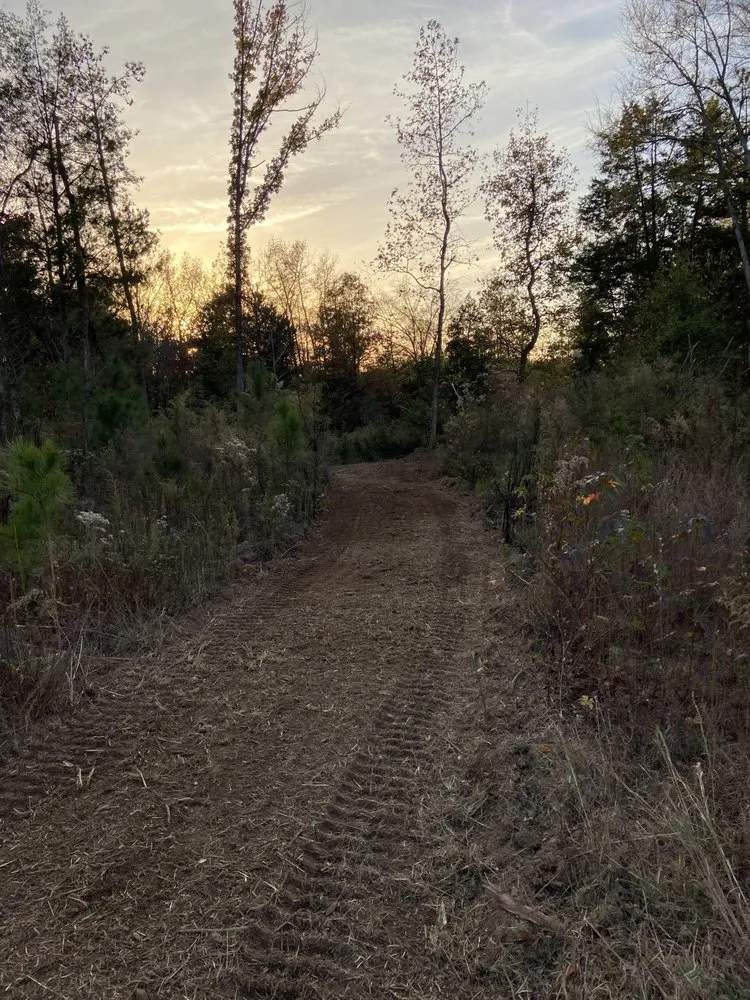 Top-rated landscaping services for outdoor upgrades in York, SC by Fox Brush Control