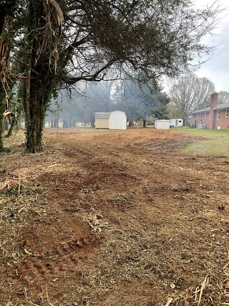 Affordable residential landscaping in York, SC by Fox Brush Control