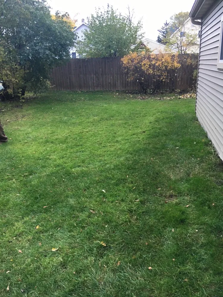 Professional lawn mowing service experts serving Menasha, WI - Fox Cities Errands and More