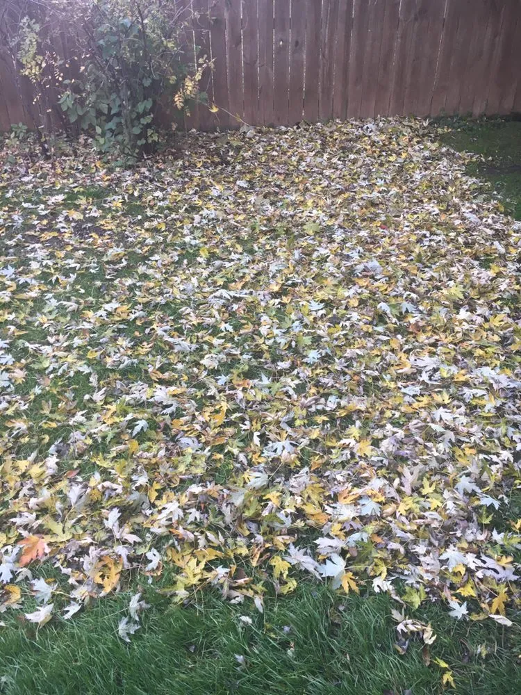 Trusted garden landscaping experts serving Menasha, WI - Fox Cities Errands and More