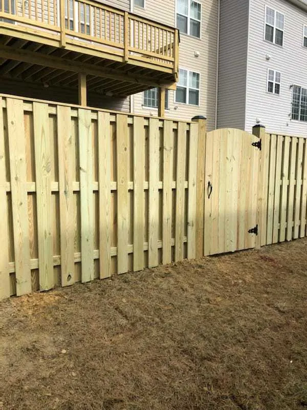 Local yard cleanup service experts serving Sterling, VA - Fox Construction