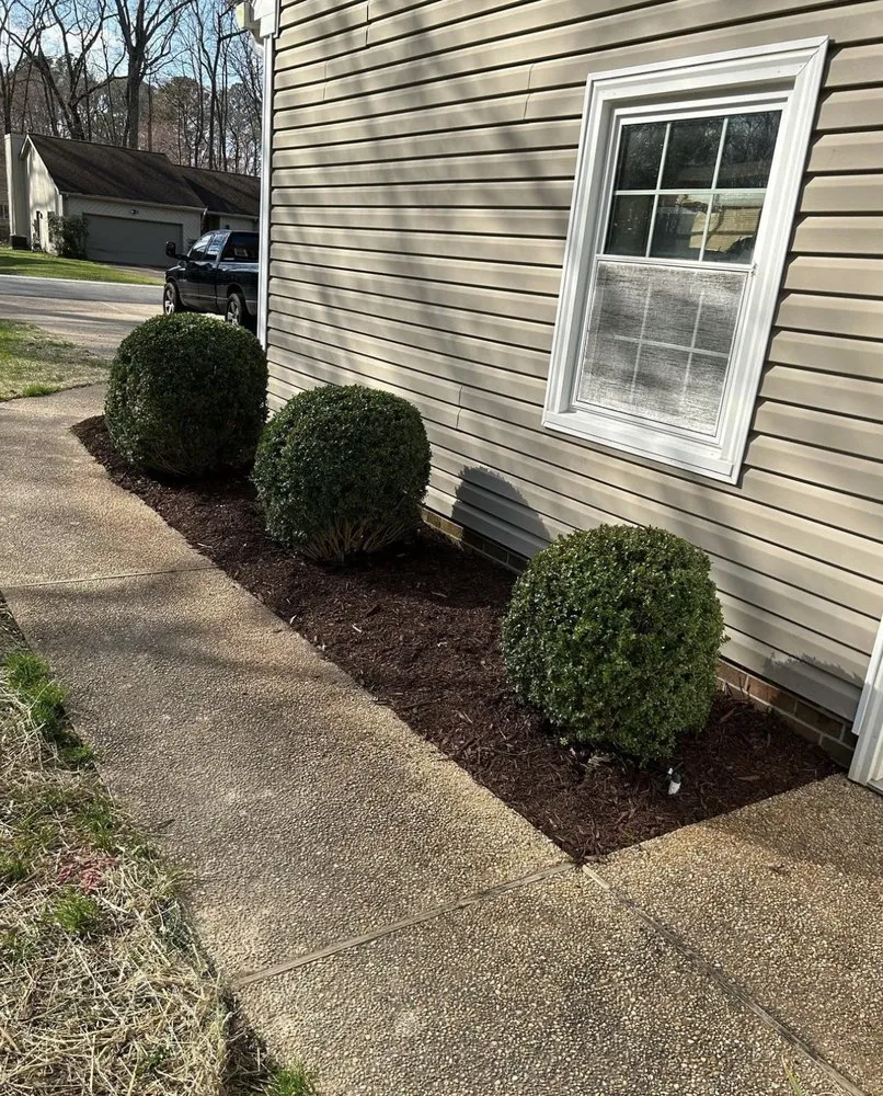 Custom yard cleanup service in Knoxville, TN - Fox Den Services
