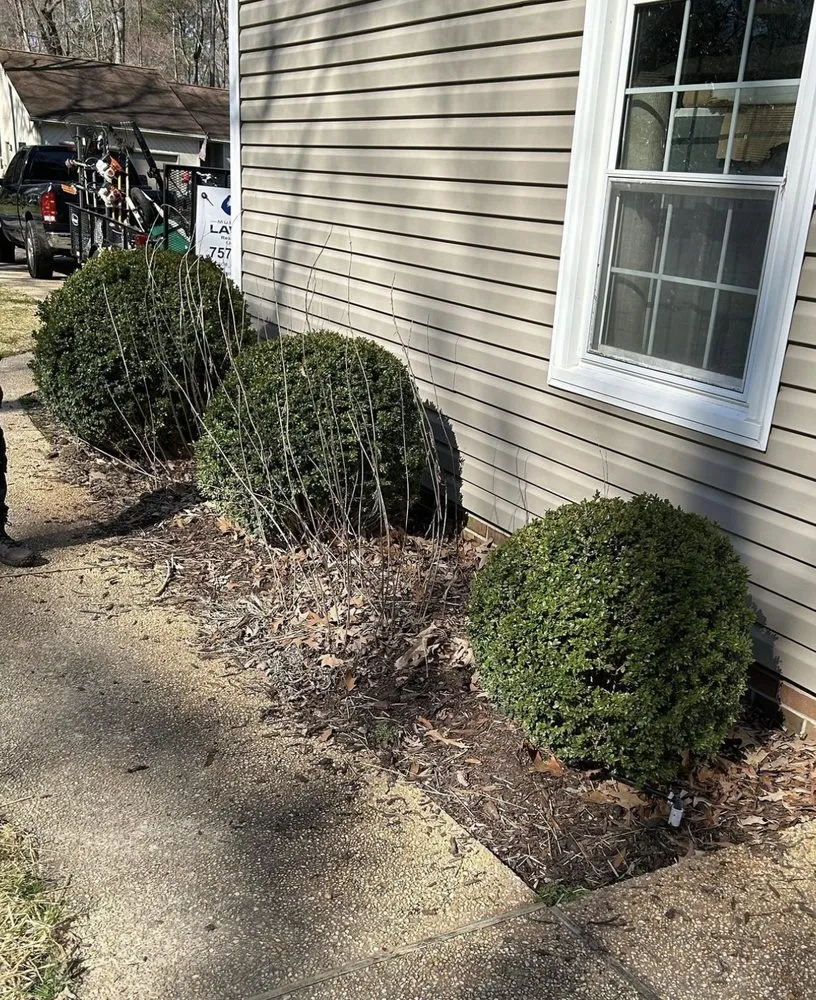 Trusted yard cleanup service experts serving Knoxville, TN - Fox Den Services