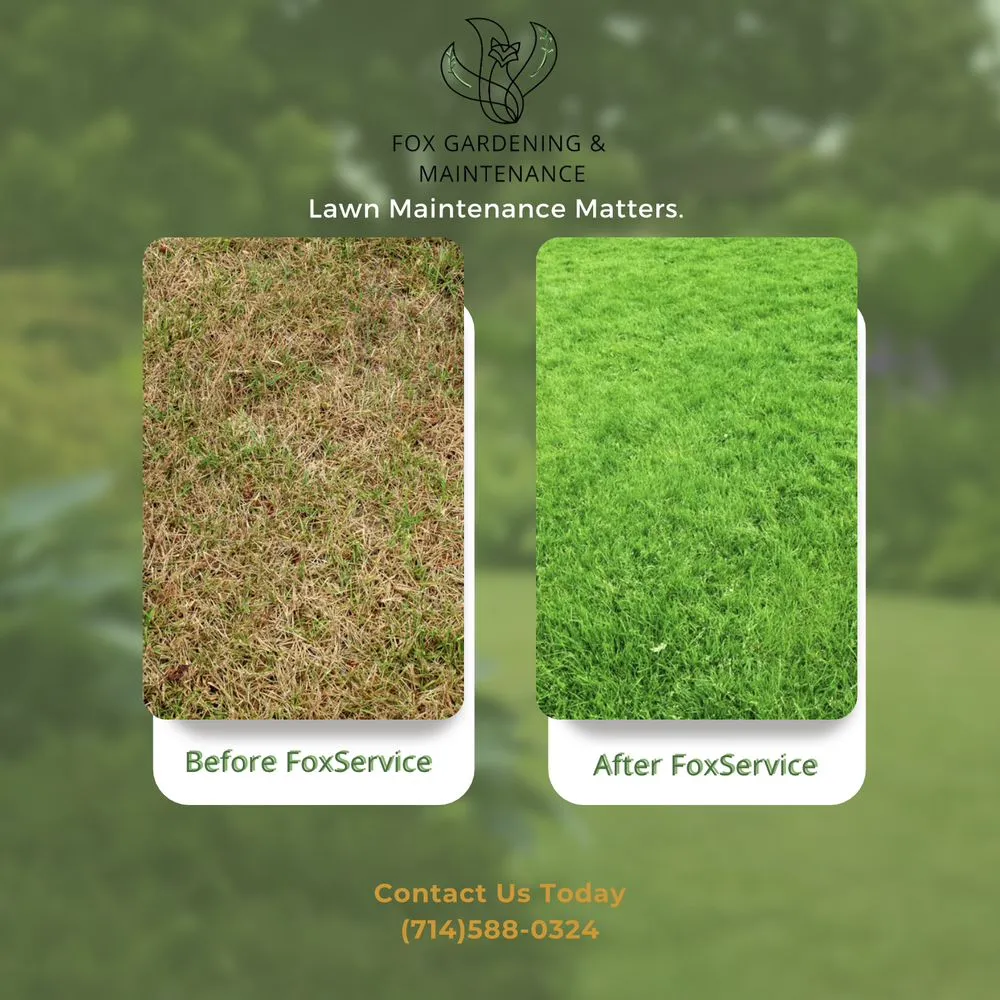 Affordable landscaping services in Anaheim, CA - Fox Gardening and Maintenance