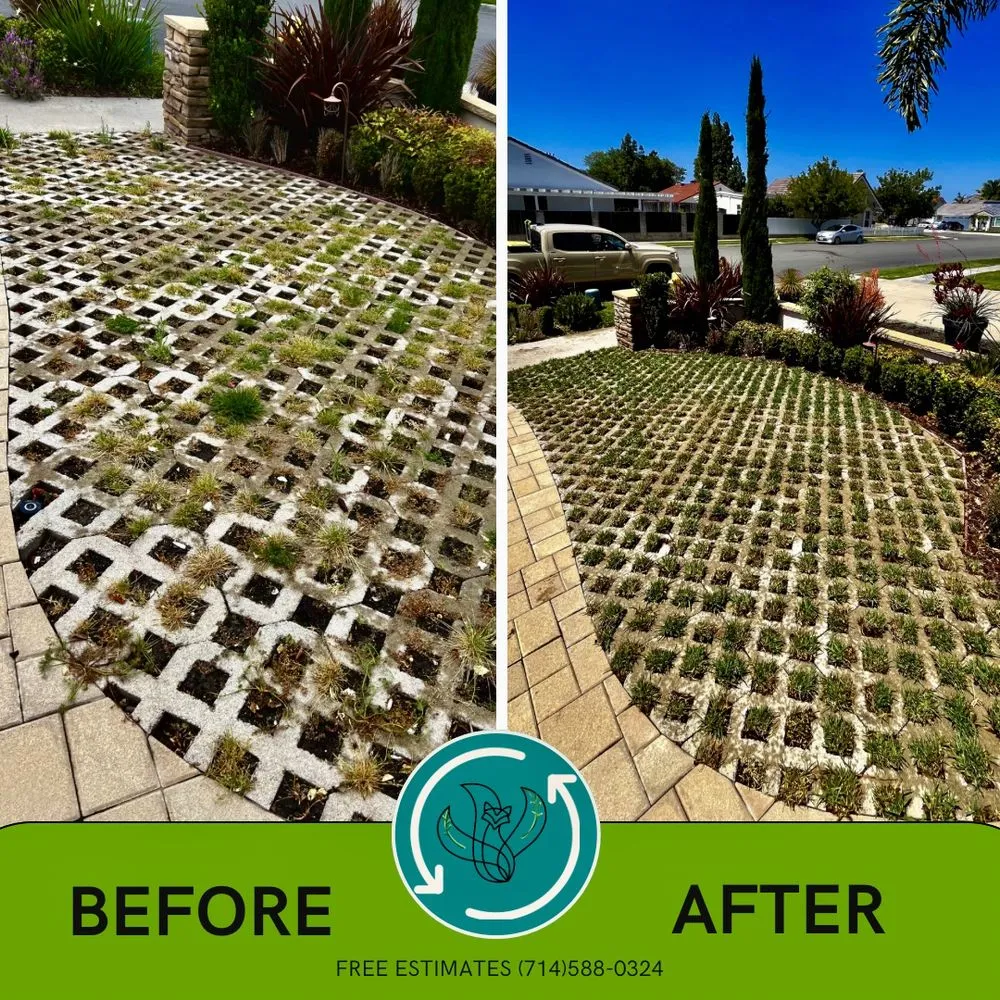 Local landscape installation in Anaheim, CA - Fox Gardening and Maintenance