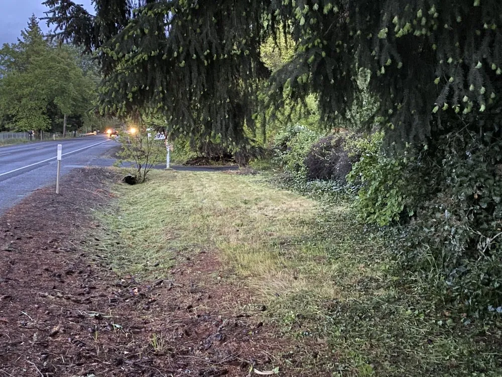 Reliable landscaping services for outdoor upgrades in Medford, OR by Fox Gardening