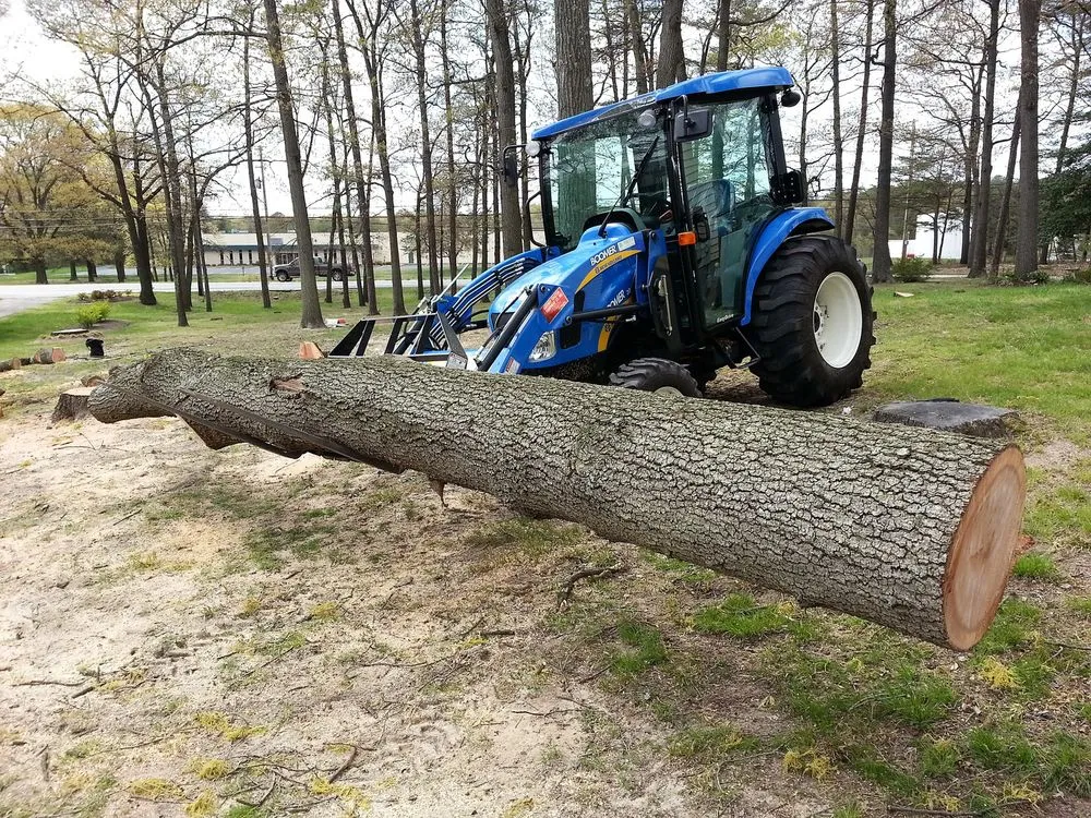Affordable landscaping services in Warwick, NY - Fox Hollow Tree Service