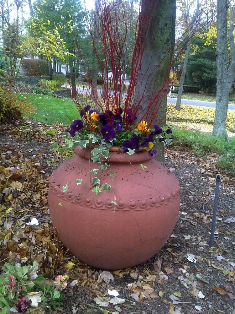 Expert lawn care service for outdoor upgrades in Levittown, NY by Fox-Jackson Designs